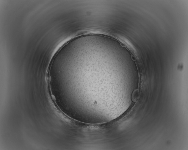 X0000090781190200708031708