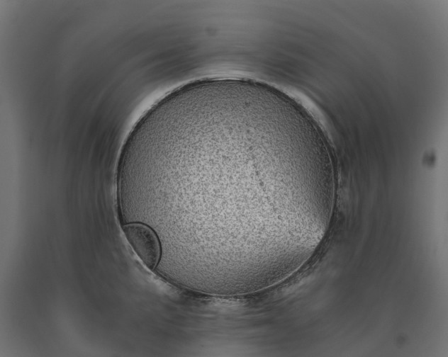 X0000090781191200708031708