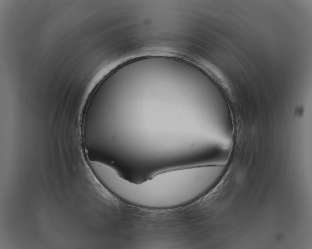 X0000090781192200708031708