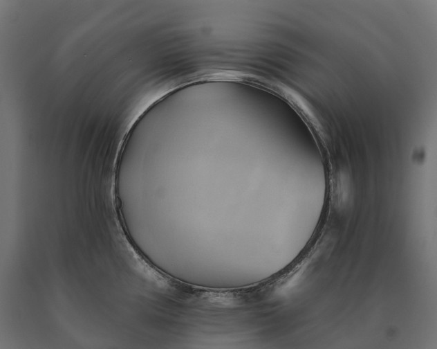 X0000090781194200708031708