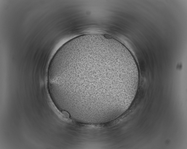 X0000090781195200708031708