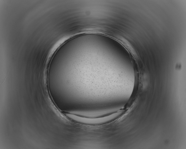 X0000090781196200708031708