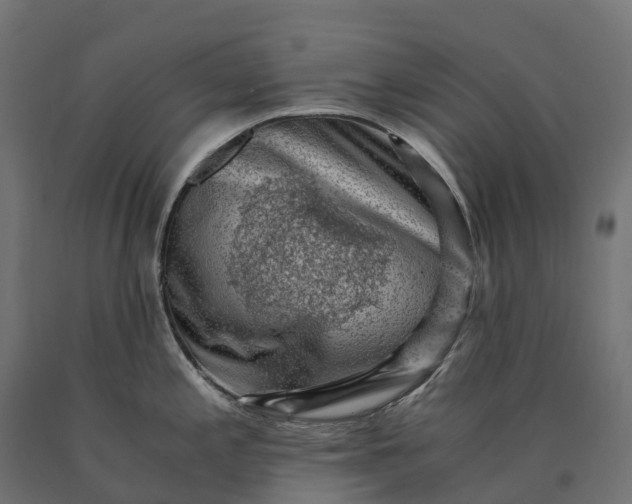 X0000090781197200708031708