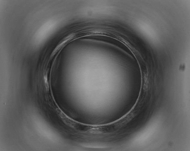 X0000090781198200708031708