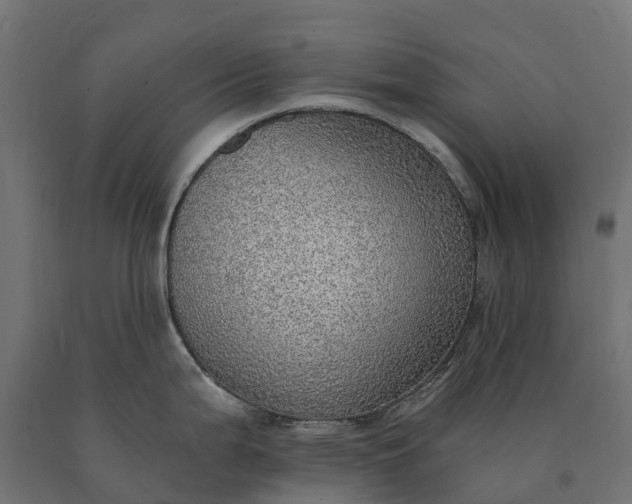 X0000090781199200708031708