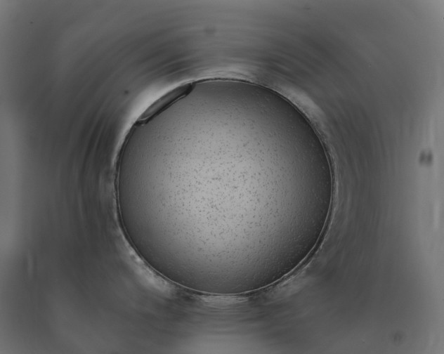 X0000090781200200708031708