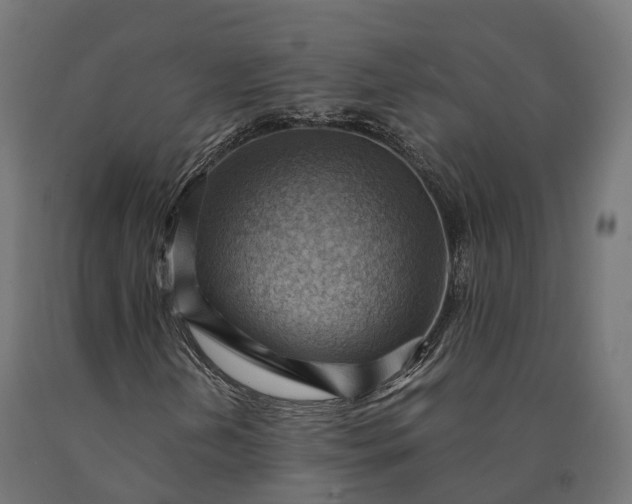 X0000090781202200708031707
