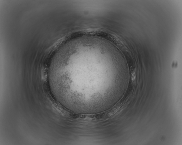 X0000090781204200708031707