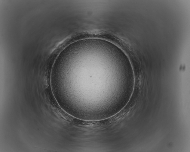 X0000090781205200708031707