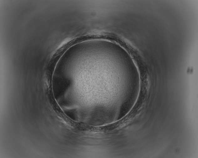 X0000090781206200708031707