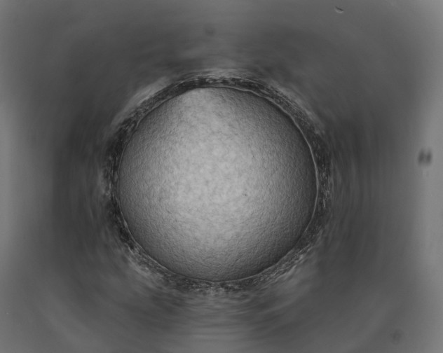 X0000090781207200708031707