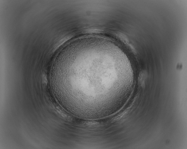 X0000090781209200708031707