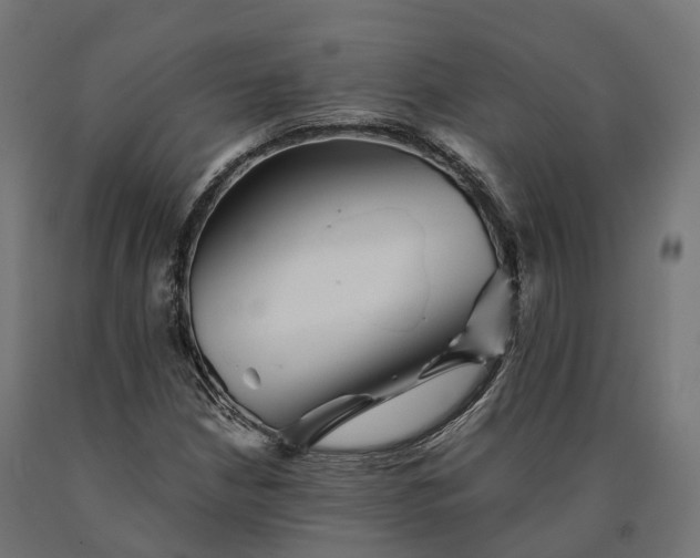 X0000090781210200708031707