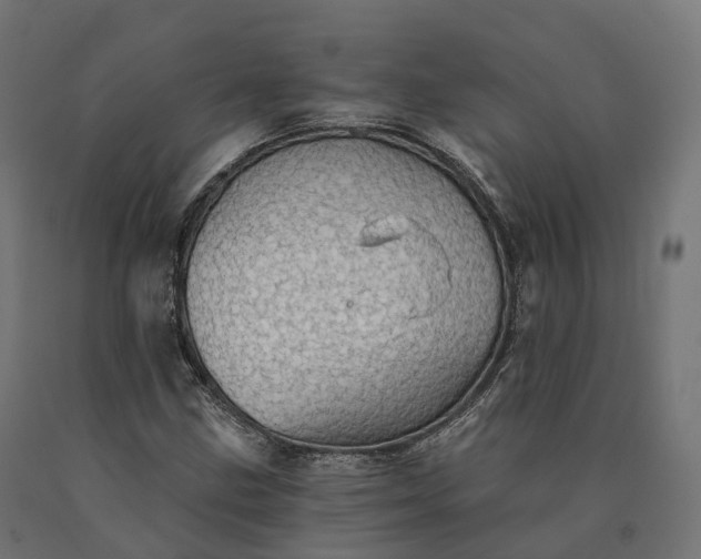 X0000090781211200708031707