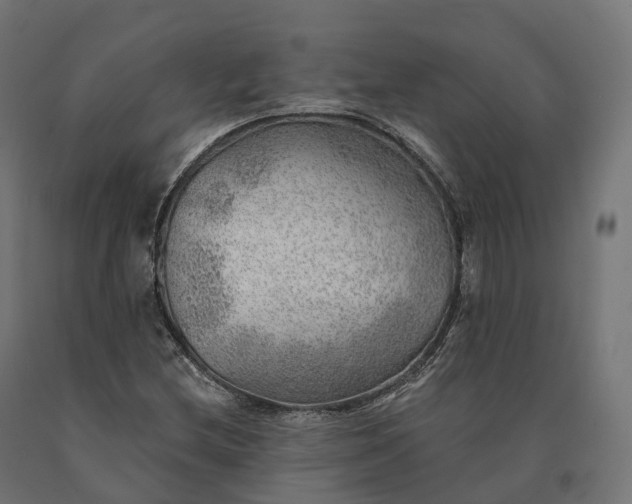 X0000090781212200708031707