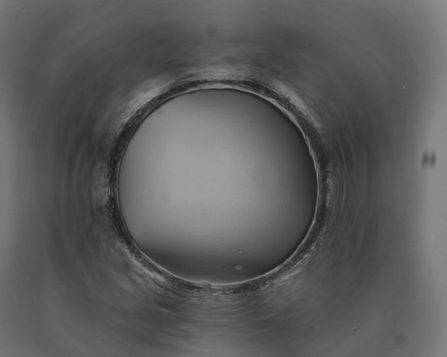 X0000090781213200708031707
