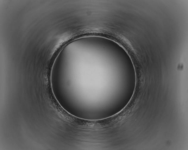 X0000090781218200708031707