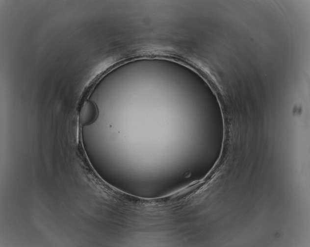 X0000090781219200708031707