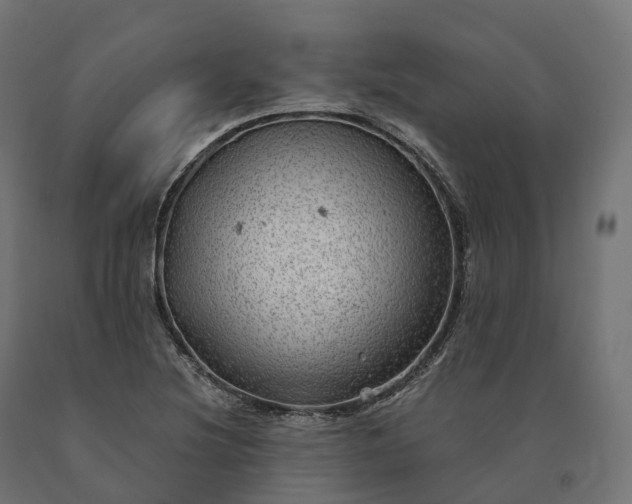 X0000090781220200708031707