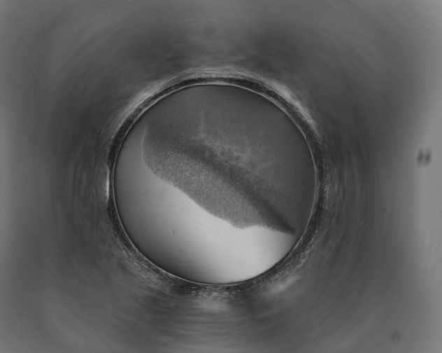 X0000090781221200708031707