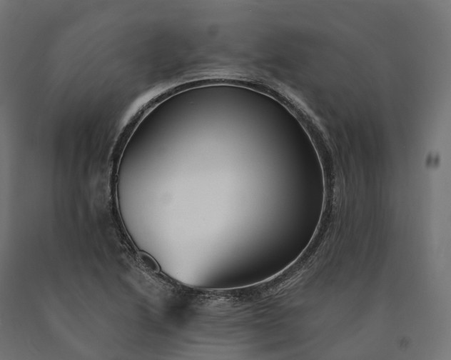 X0000090781222200708031707