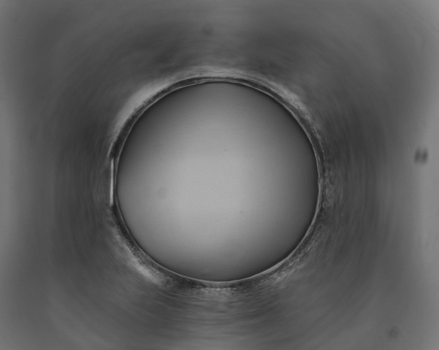X0000090781223200708031707