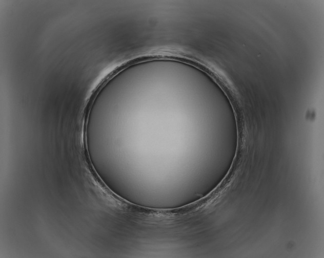 X0000090781224200708031707