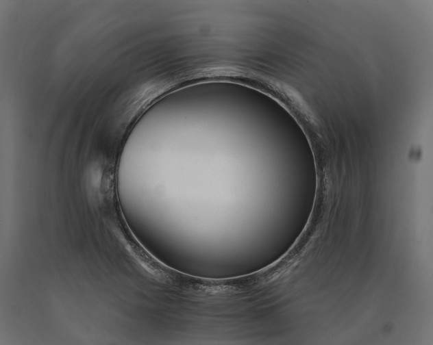 X0000090781225200708031707