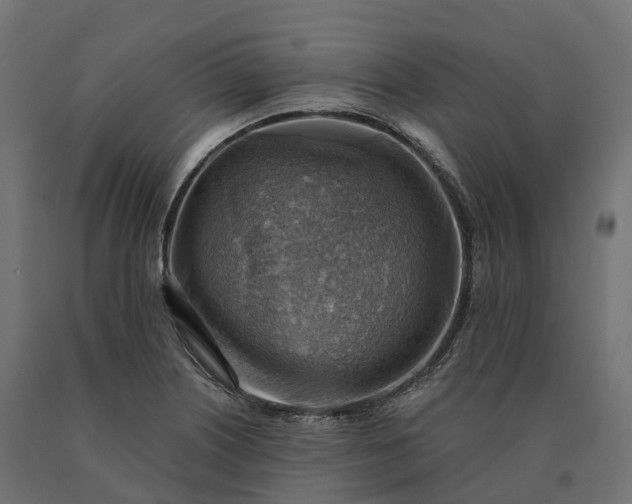 X0000090781226200708031707