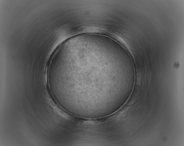 X0000090781227200708031707