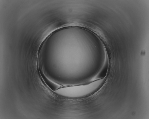 X0000090781228200708031707