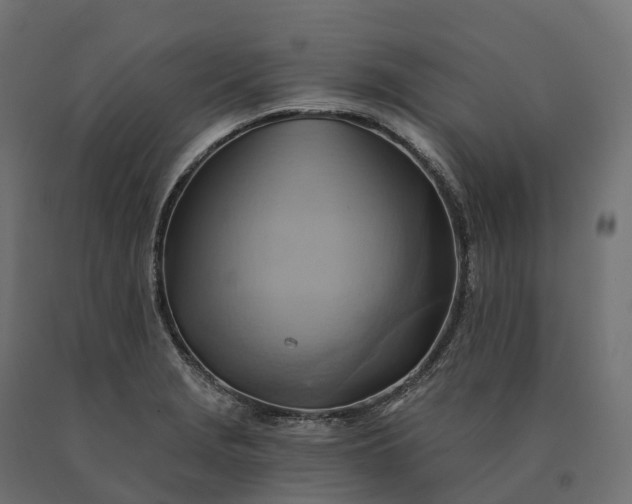 X0000090781229200708031707