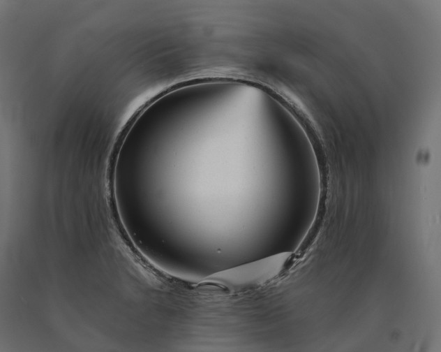 X0000090781230200708031707
