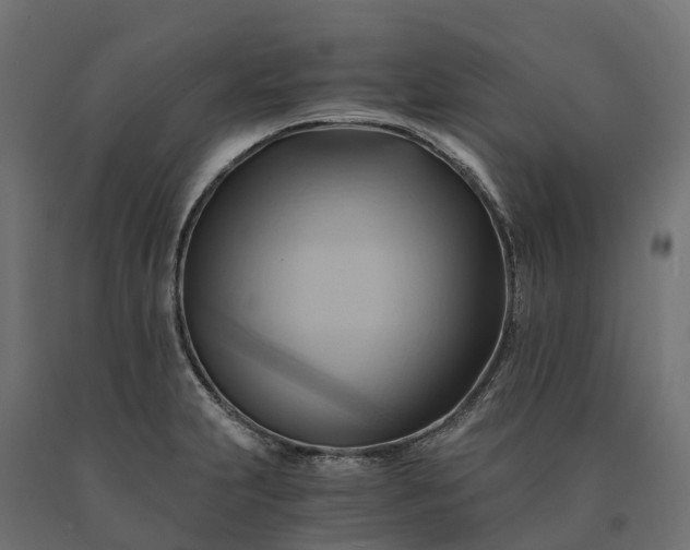 X0000090781231200708031708