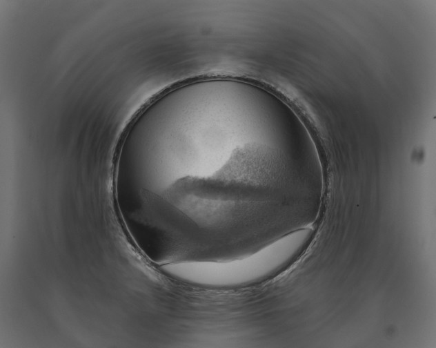X0000090781232200708031708
