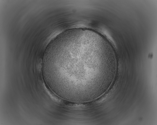 X0000090781233200708031708