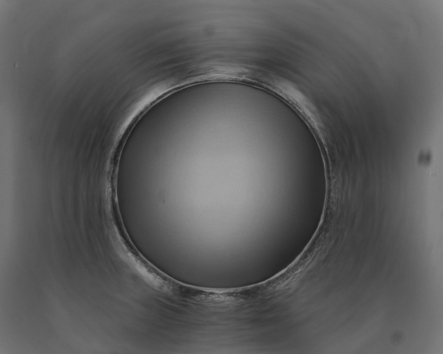 X0000090781235200708031708