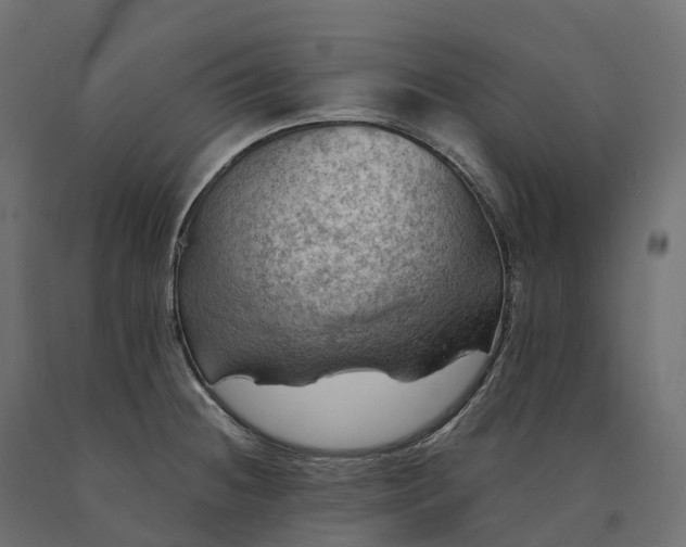 X0000090781236200708031708