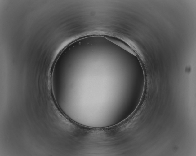X0000090781238200708031708