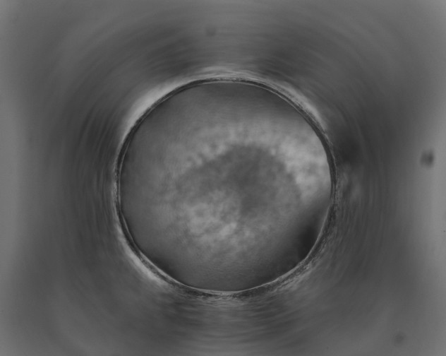 X0000090781239200708031708