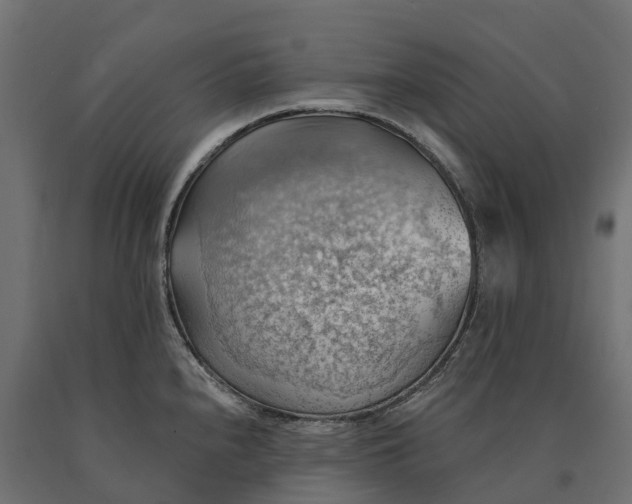 X0000090781240200708031708