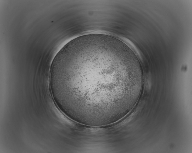 X0000090781244200708031708