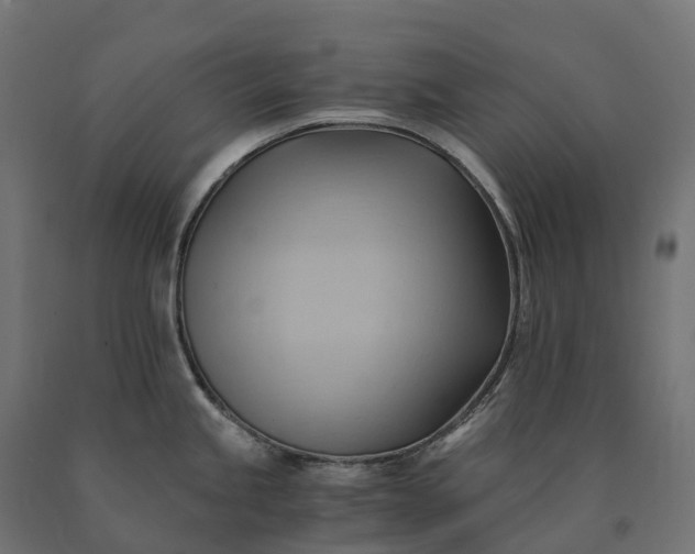 X0000090781245200708031708