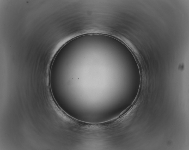 X0000090781246200708031708