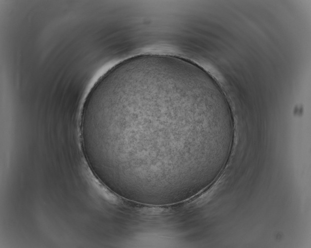 X0000090781248200708031708