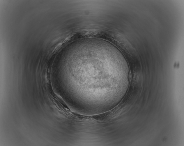X0000090781250200708031707