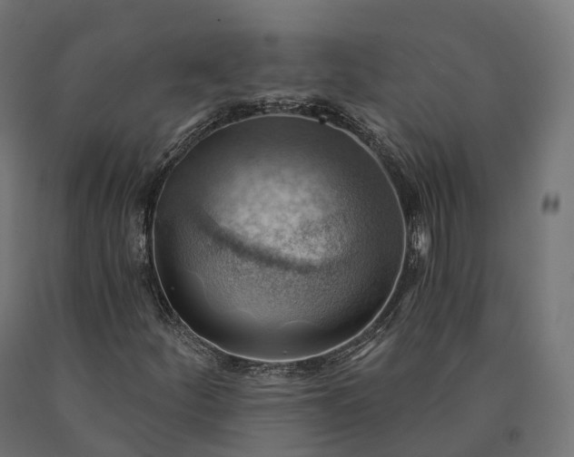 X0000090781252200708031707