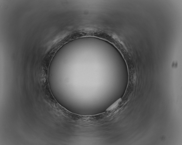 X0000090781253200708031707