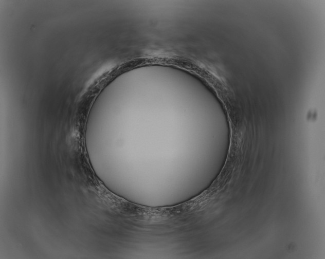 X0000090781254200708031707