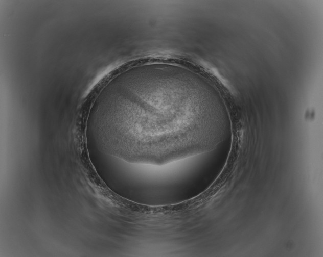 X0000090781256200708031707